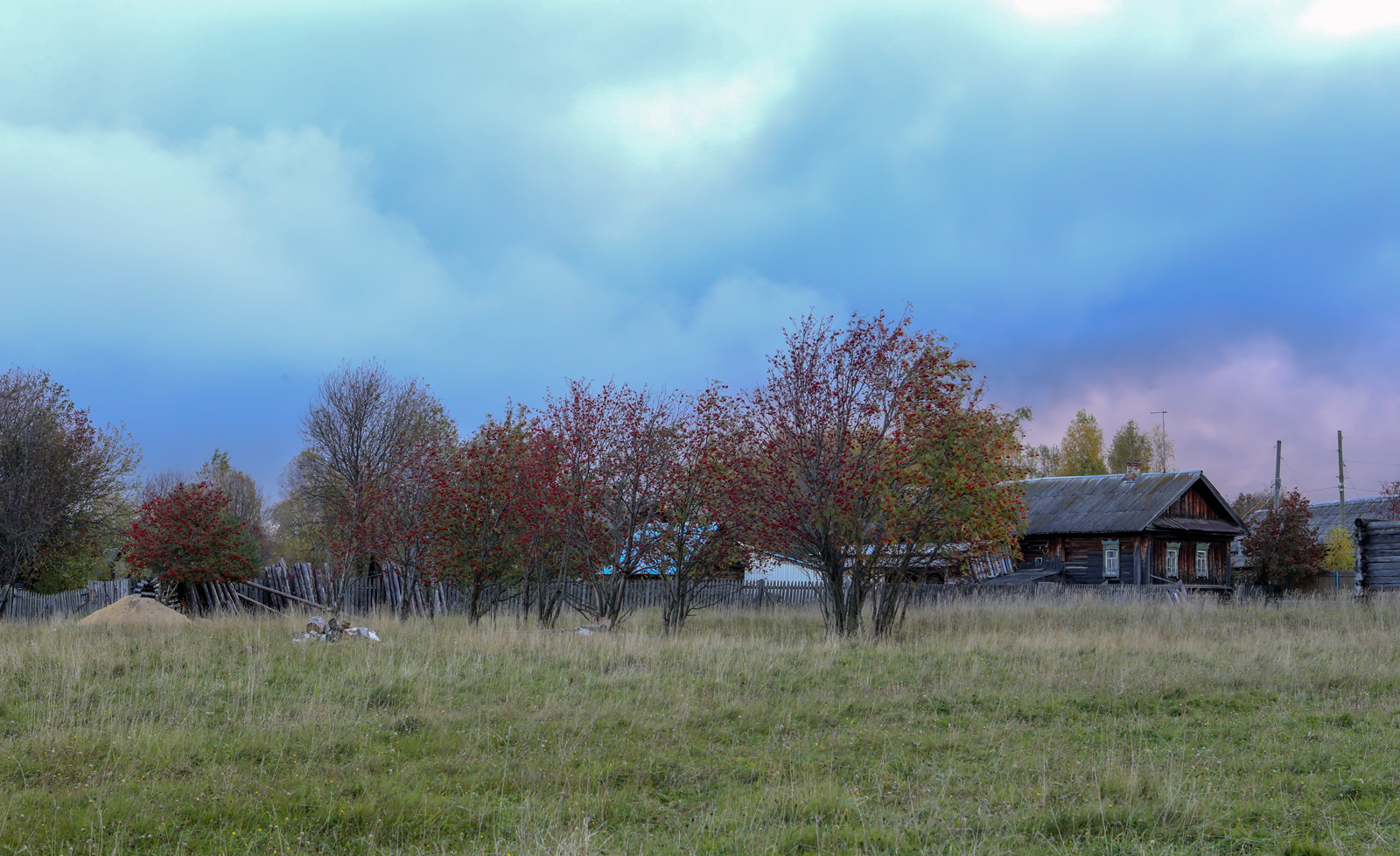 Низовья и устье Полуденной, image of landscape/habitat.