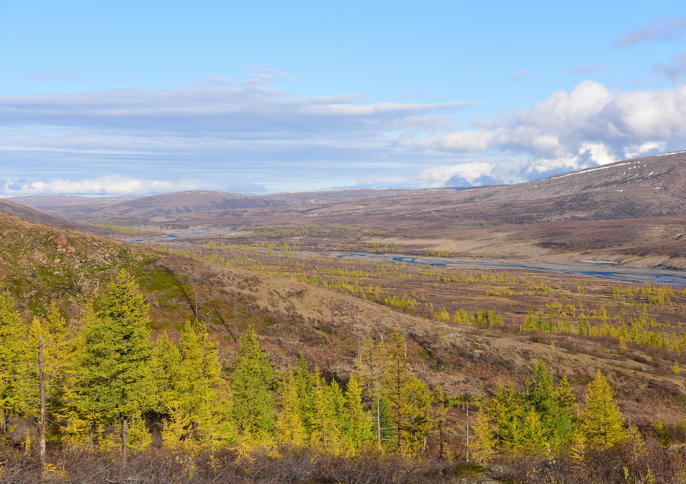 Окрестности района Талнах, image of landscape/habitat.