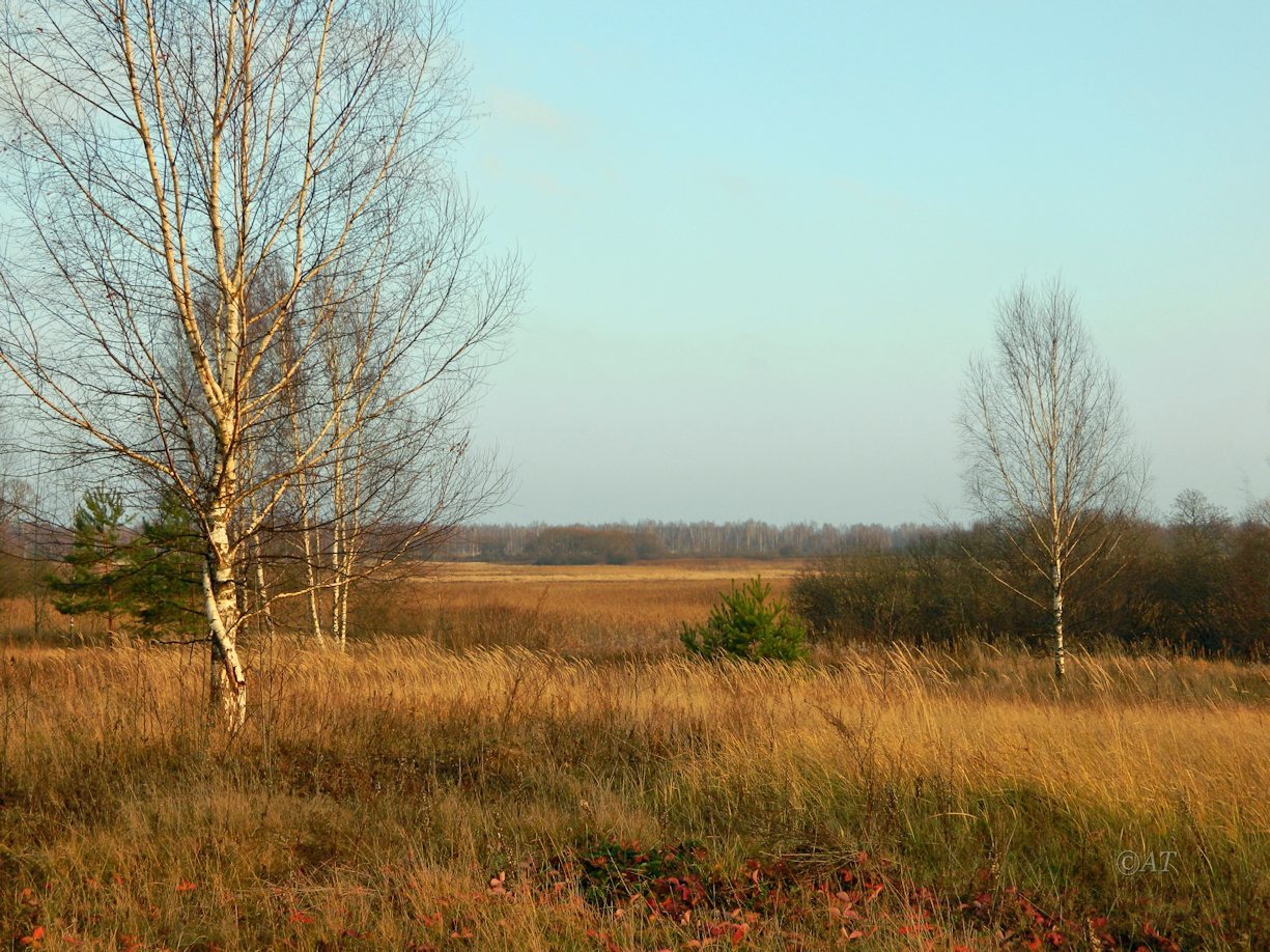 Верховья Каспли, image of landscape/habitat.