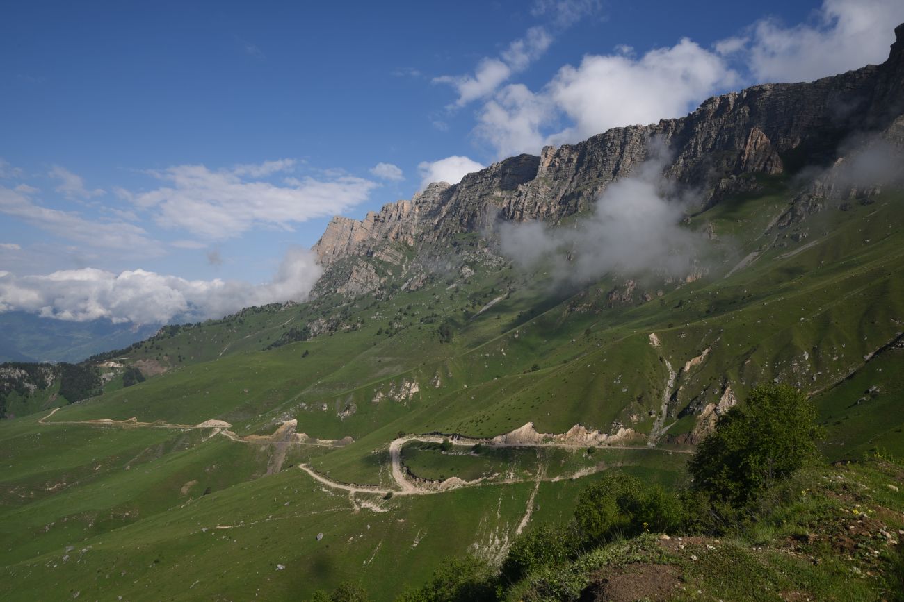 Окрестности урочища Дакхала, image of landscape/habitat.