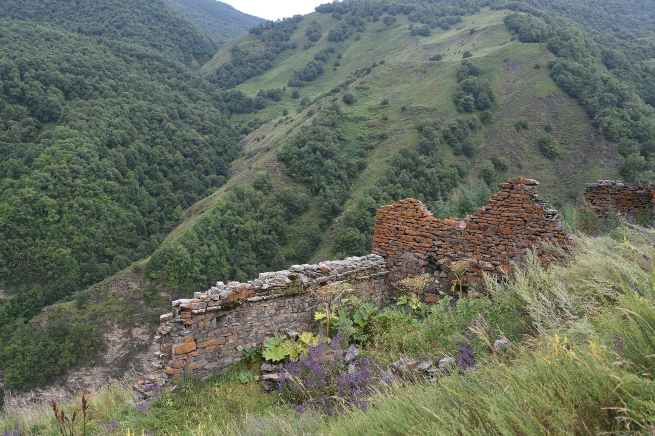 Шикарой и окрестности, image of landscape/habitat.