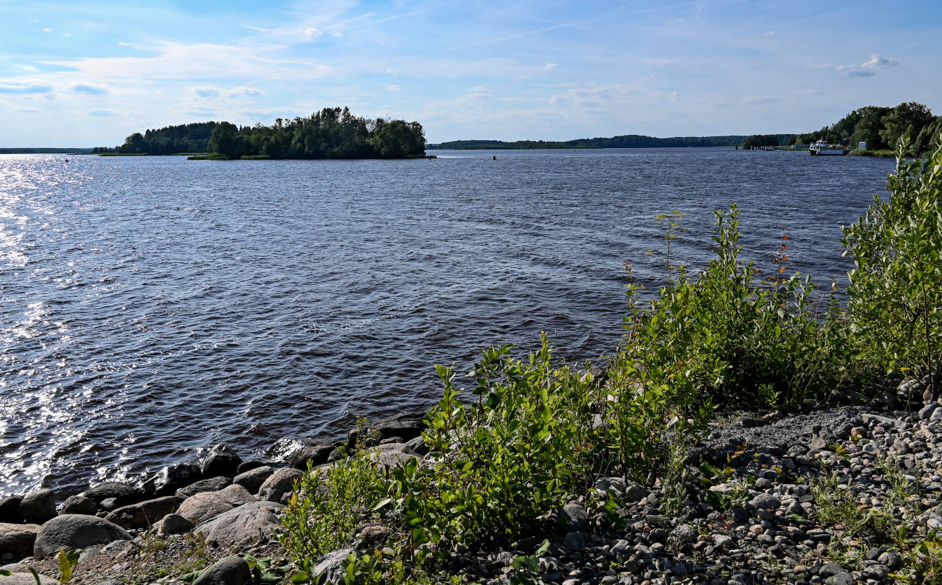 Горицы, image of landscape/habitat.