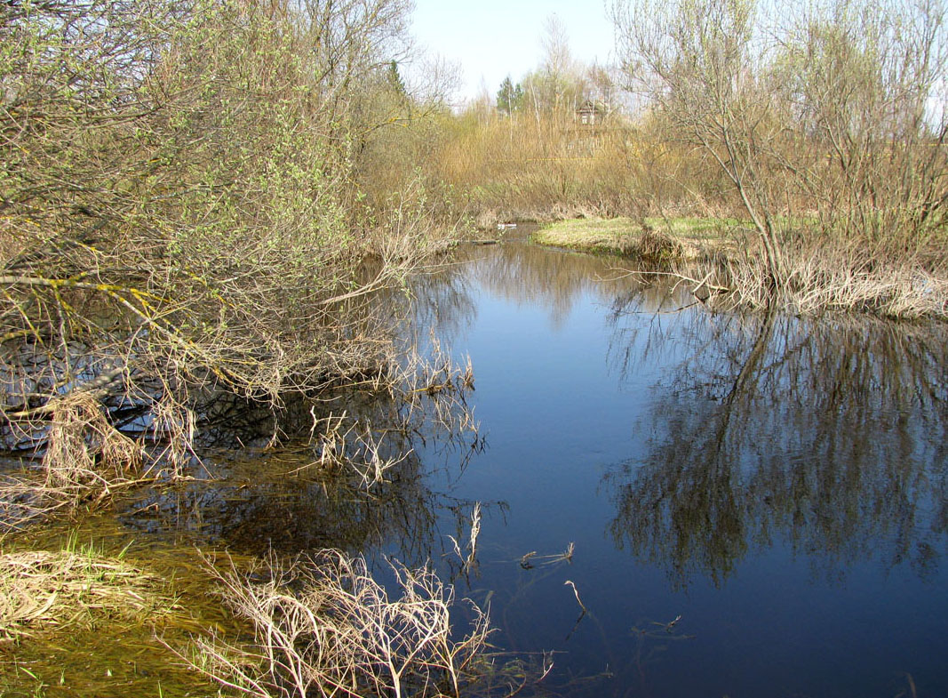 Ильд в Некоузе, image of landscape/habitat.