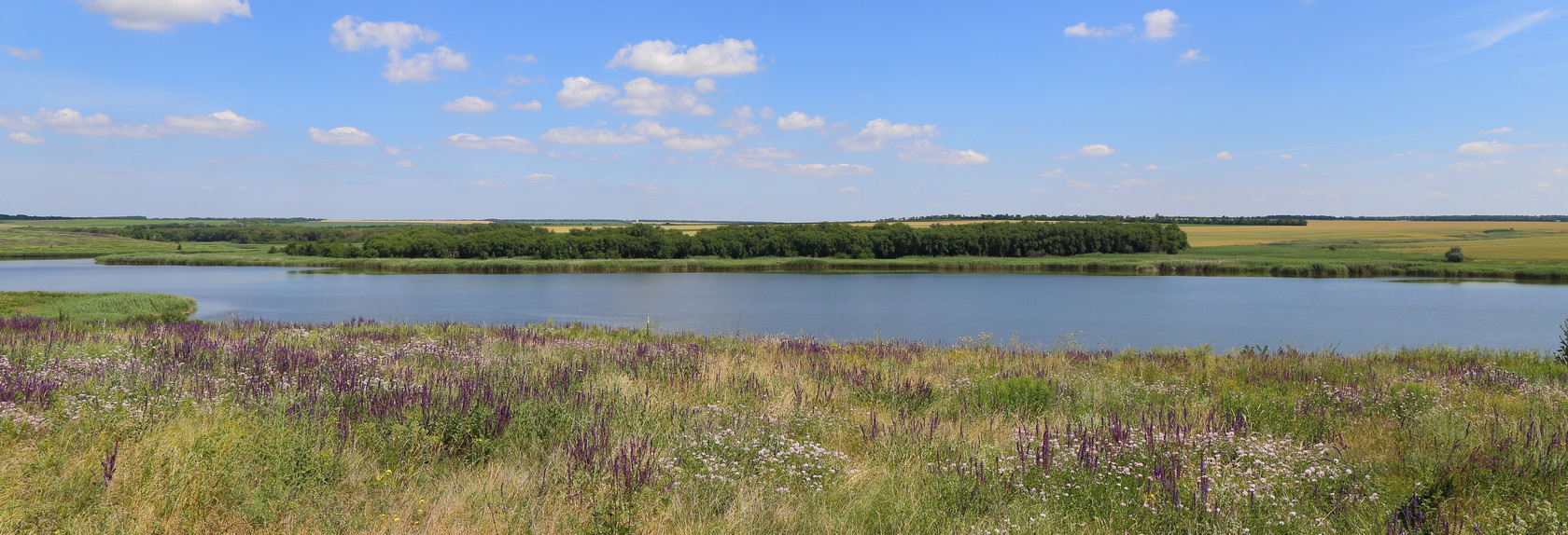 Долина реки Бирючья, image of landscape/habitat.