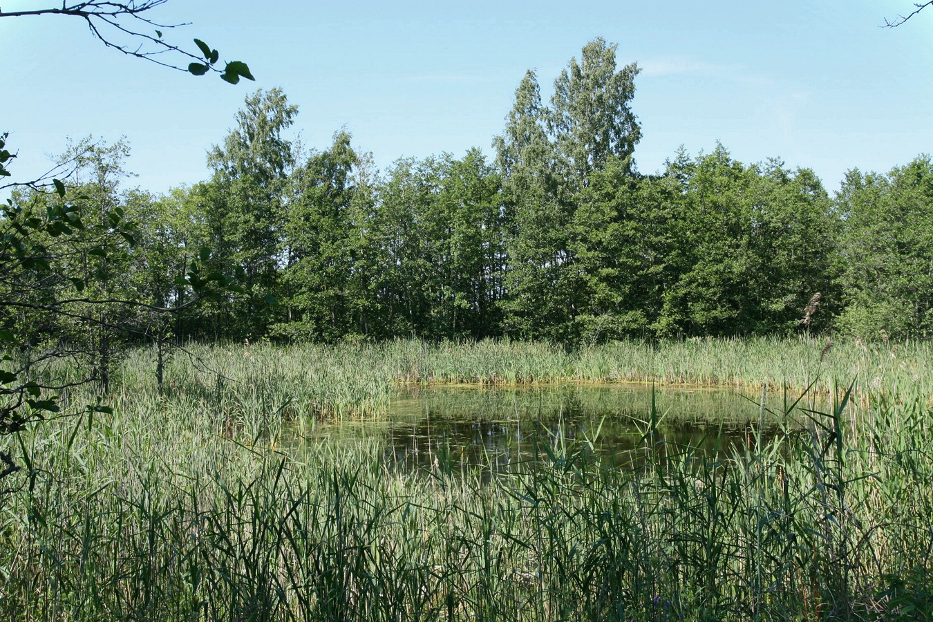 Каравалдай, image of landscape/habitat.