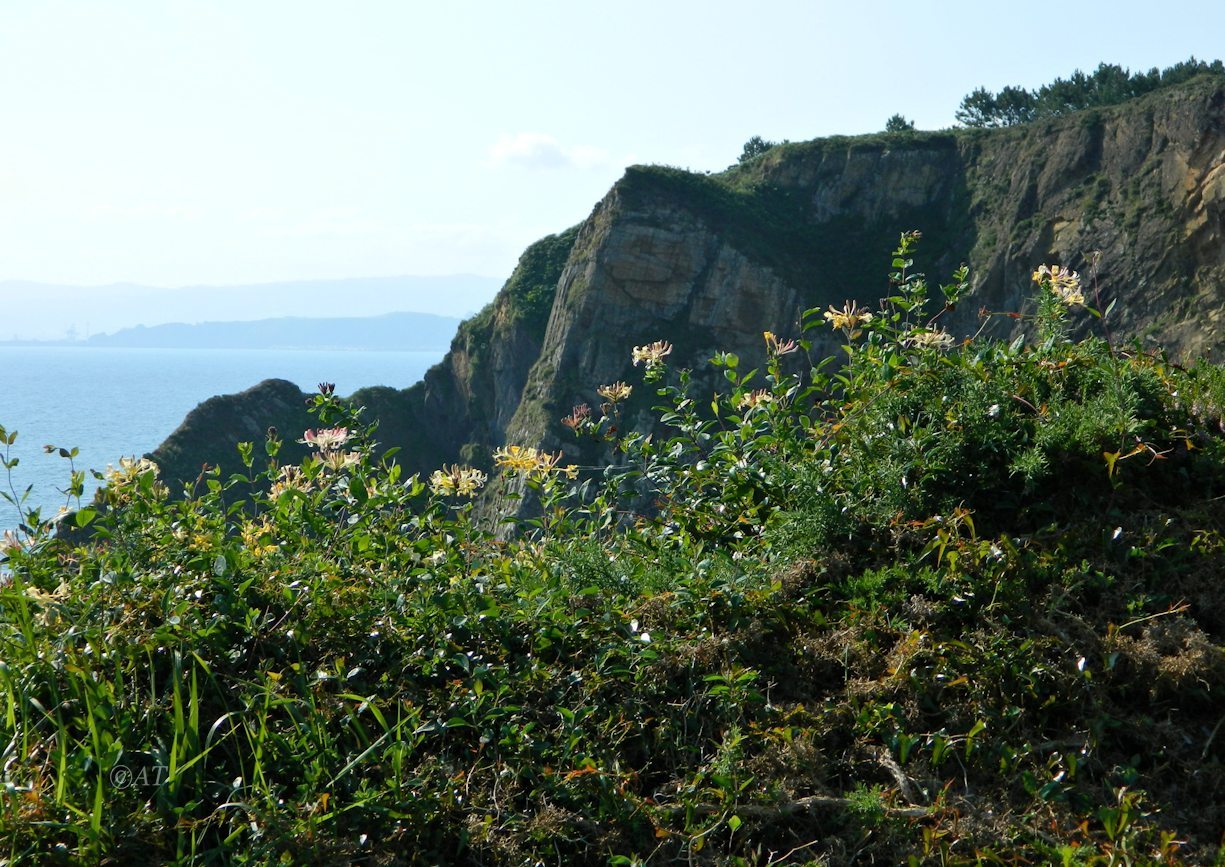 Окрестности Луанко, image of landscape/habitat.