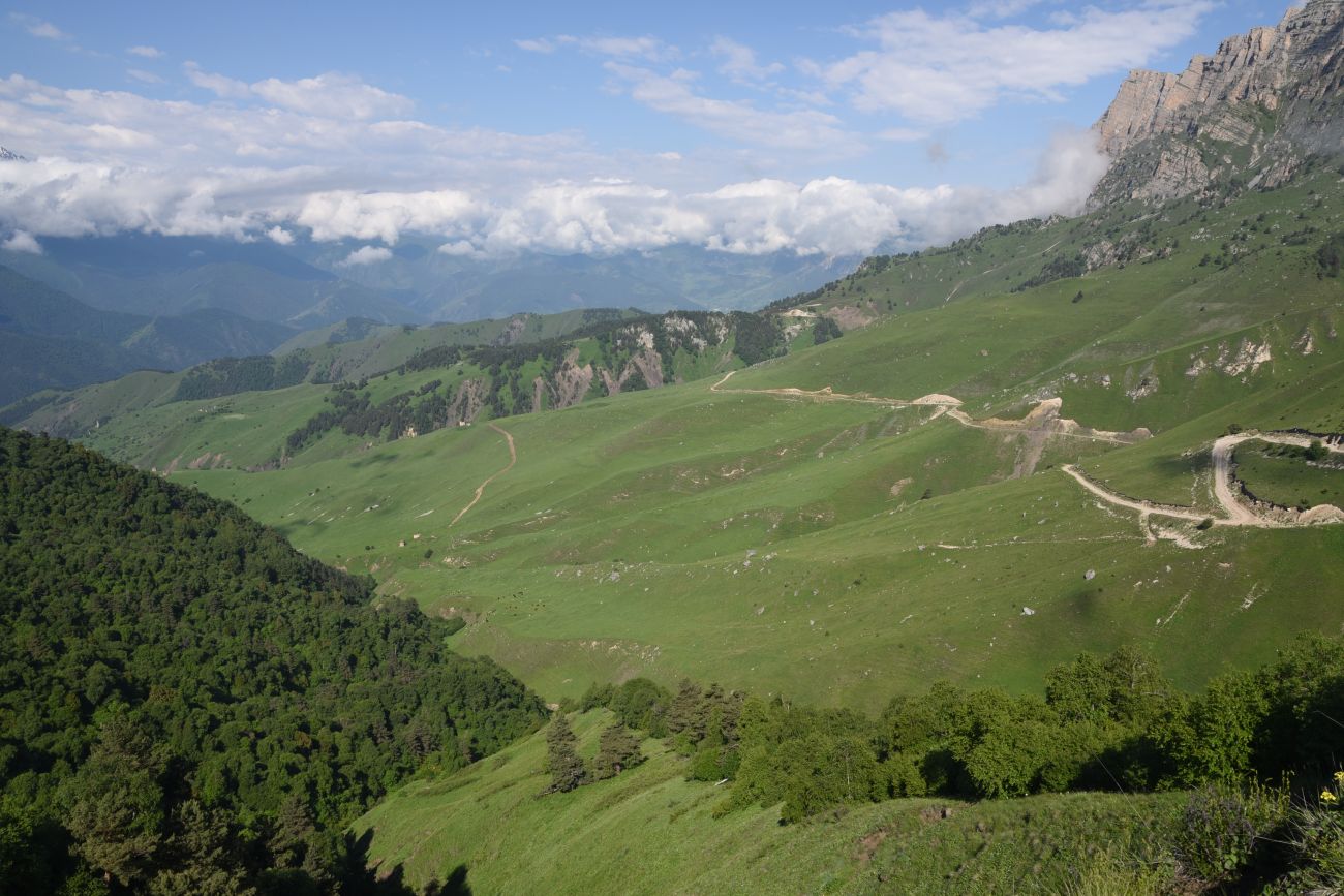 Окрестности урочища Мусиево, image of landscape/habitat.