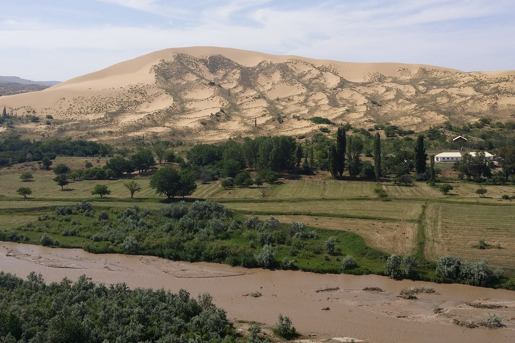 Бархан Сарыкум, image of landscape/habitat.
