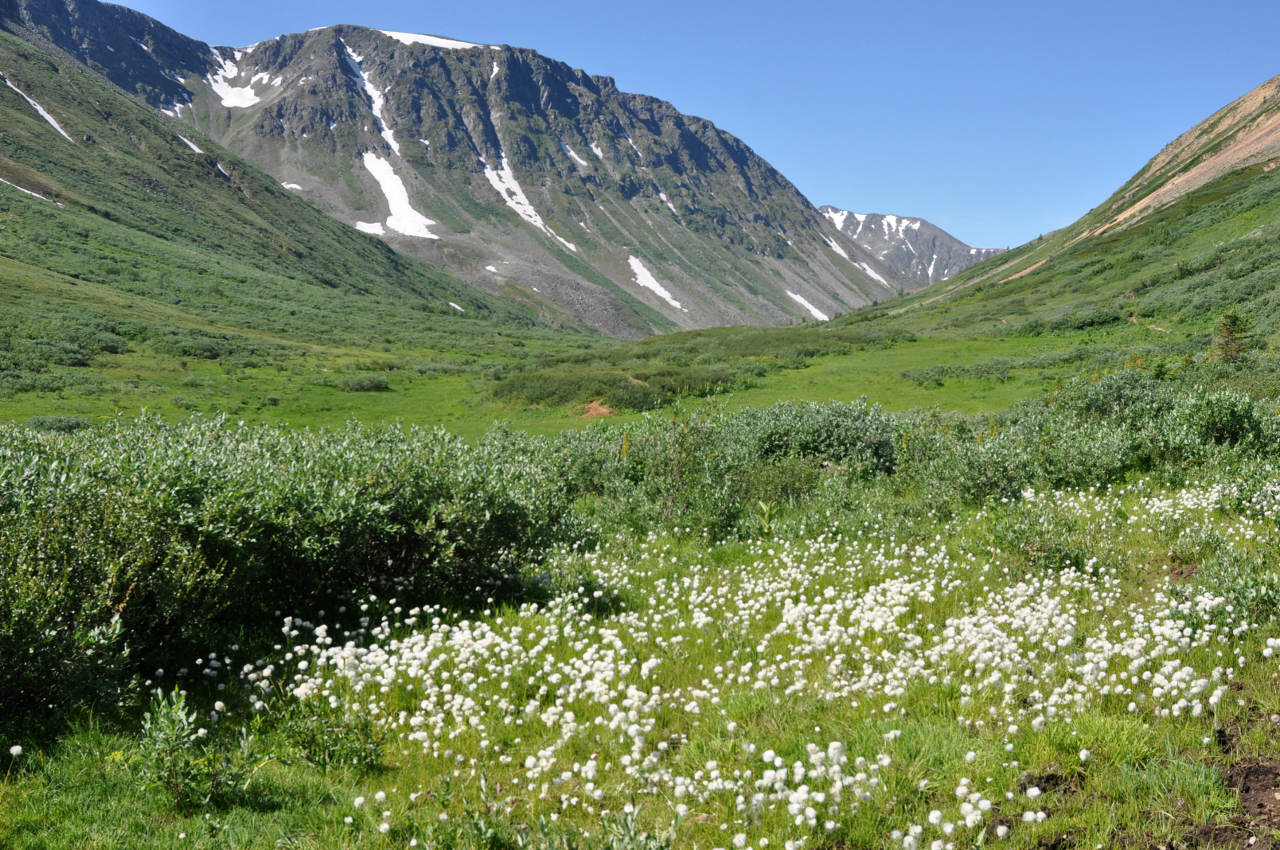 Перевал Чойган-Дабан, image of landscape/habitat.