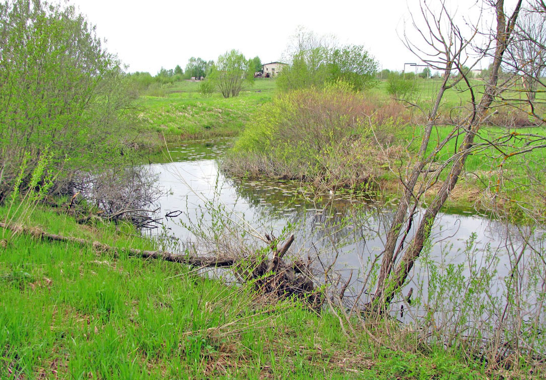 Ильд в Некоузе, image of landscape/habitat.