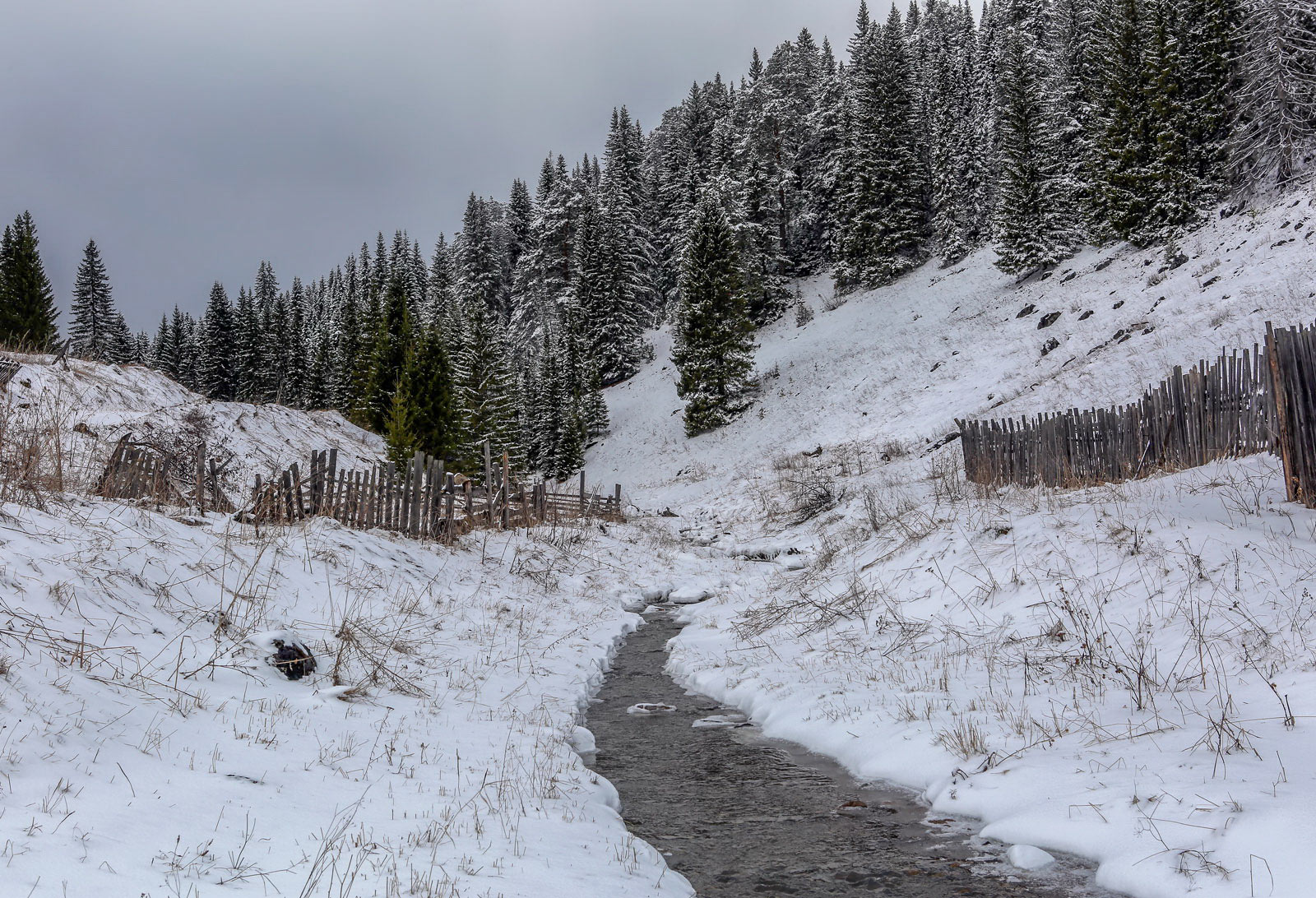 Кын и его окрестности, image of landscape/habitat.