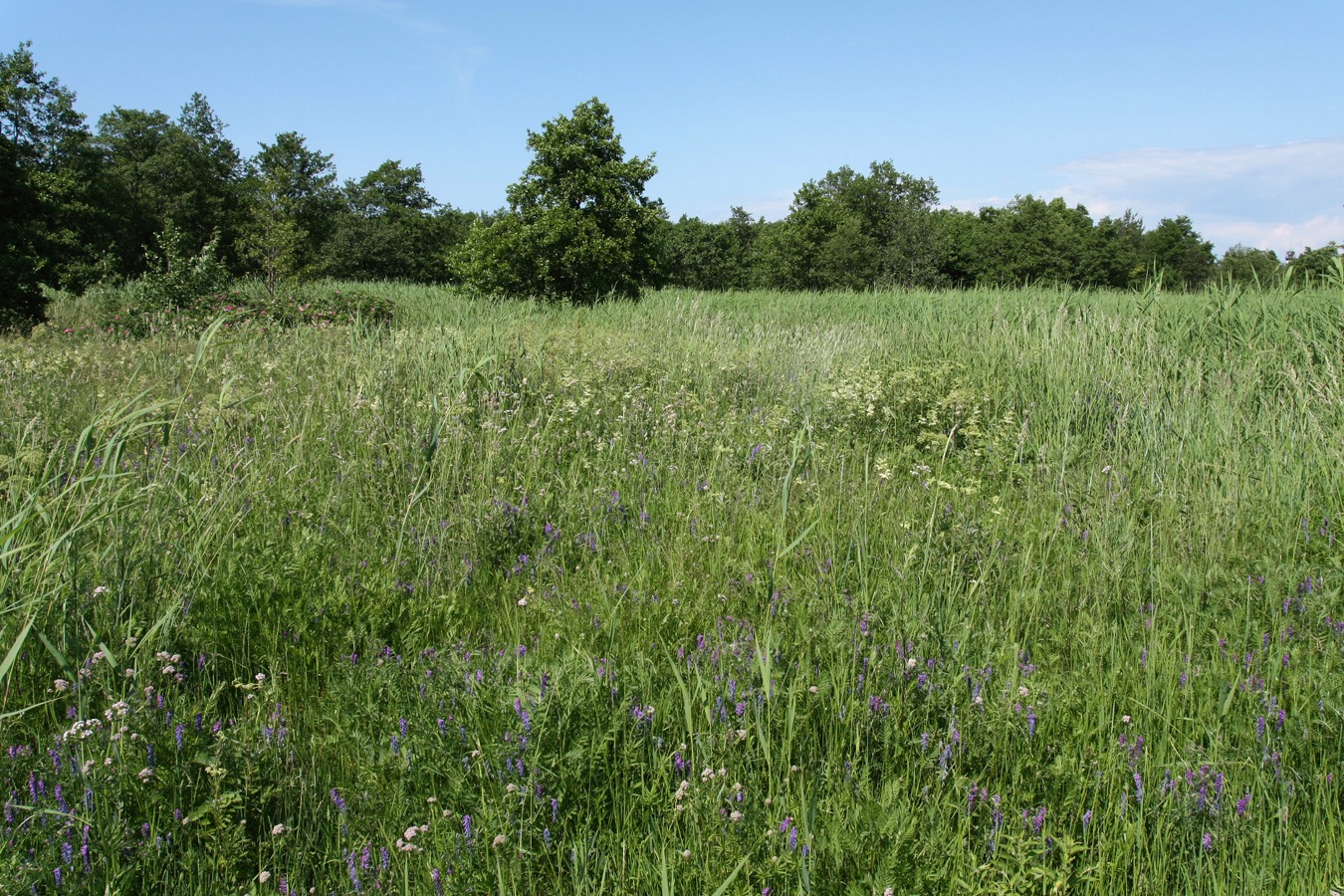 Каравалдай, image of landscape/habitat.