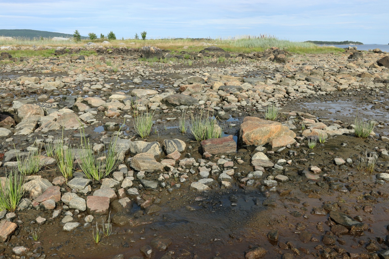 Ковда, image of landscape/habitat.