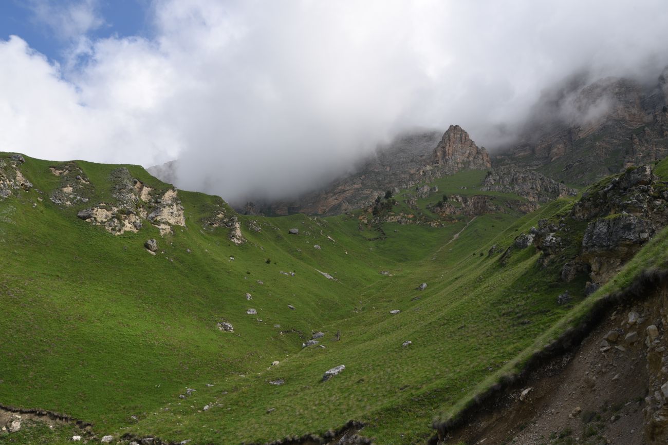 Окрестности урочища Дакхала, image of landscape/habitat.