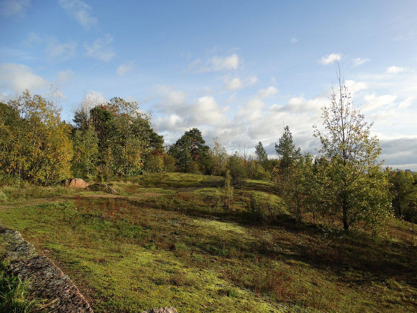 Парк Папула, image of landscape/habitat.