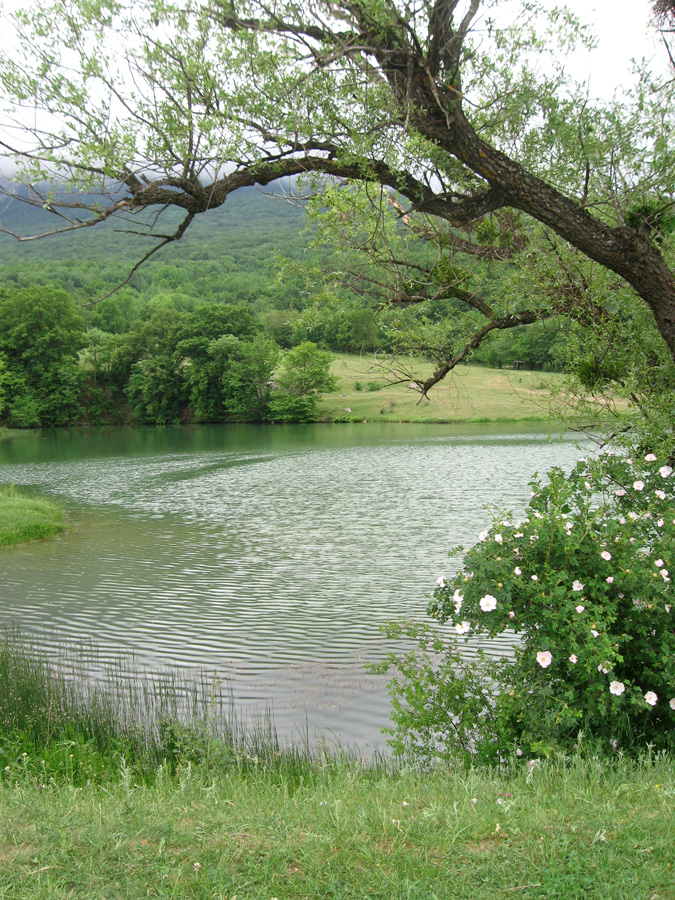 Гора Бойка, image of landscape/habitat.