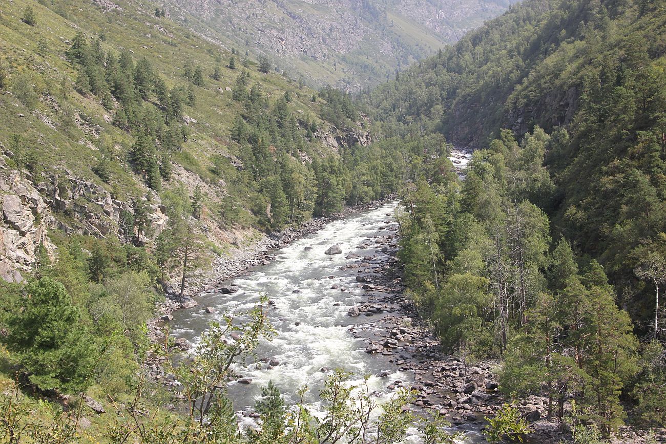 Окрестности ручья Артышту, image of landscape/habitat.