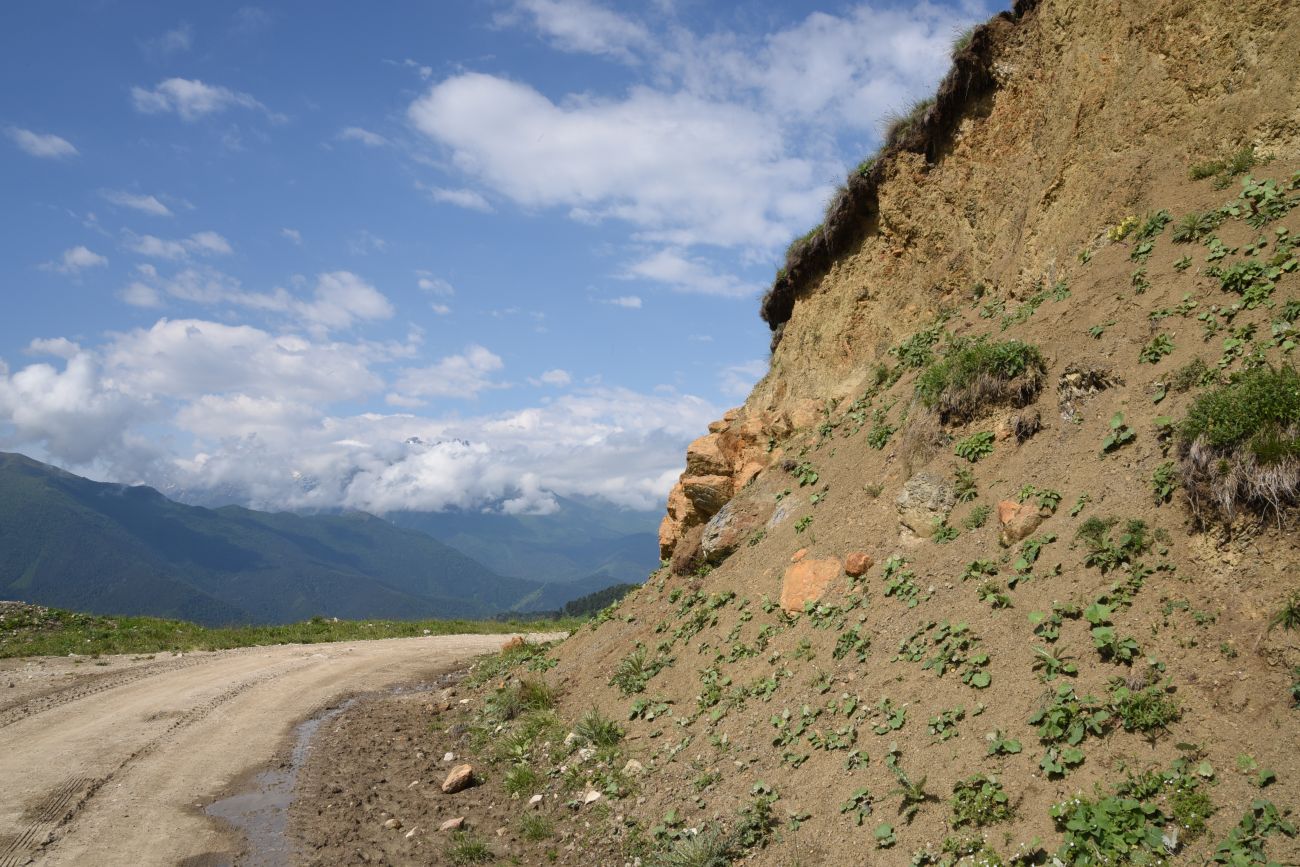 Окрестности урочища Дакхала, image of landscape/habitat.