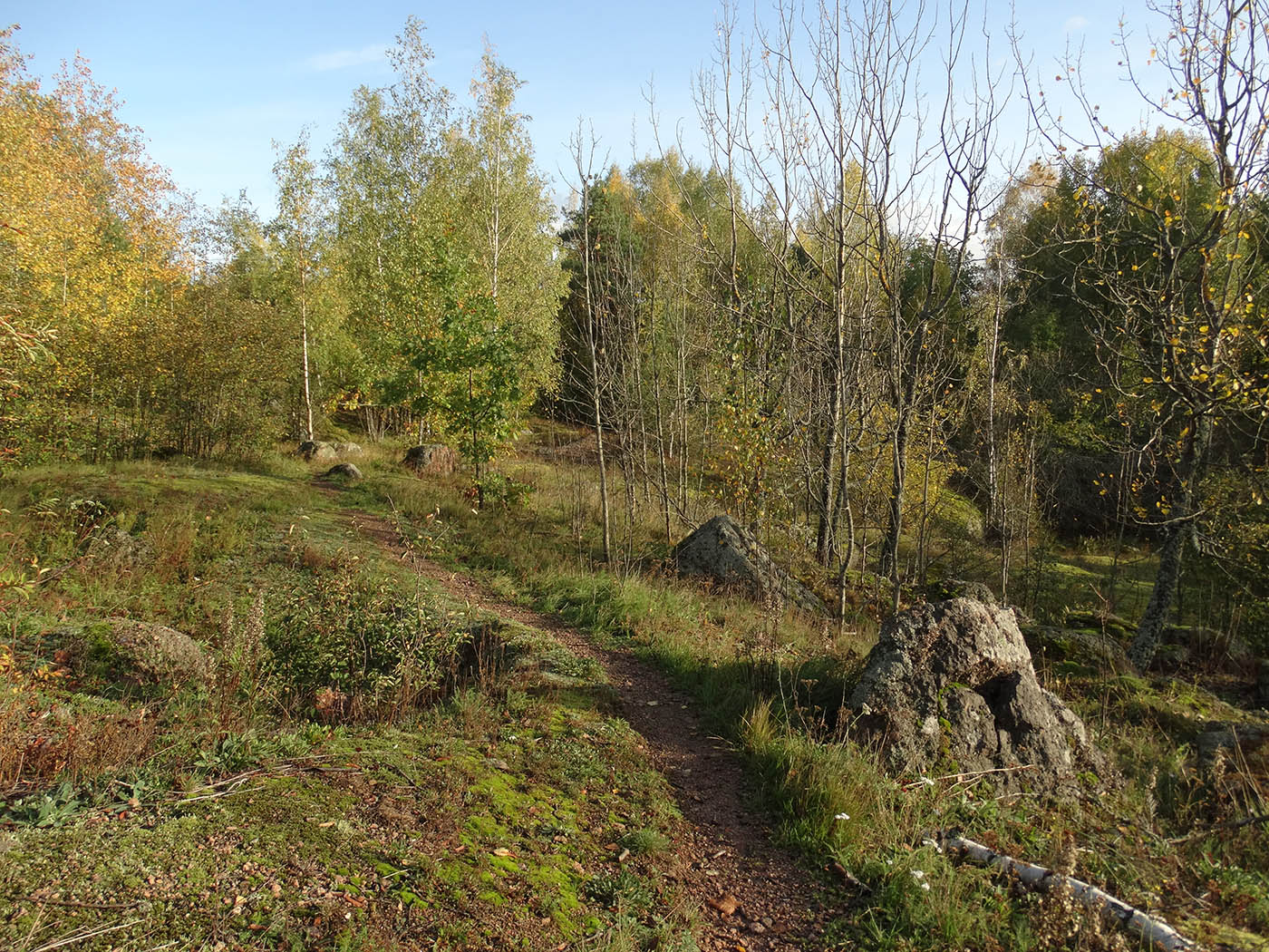 Парк Папула, image of landscape/habitat.