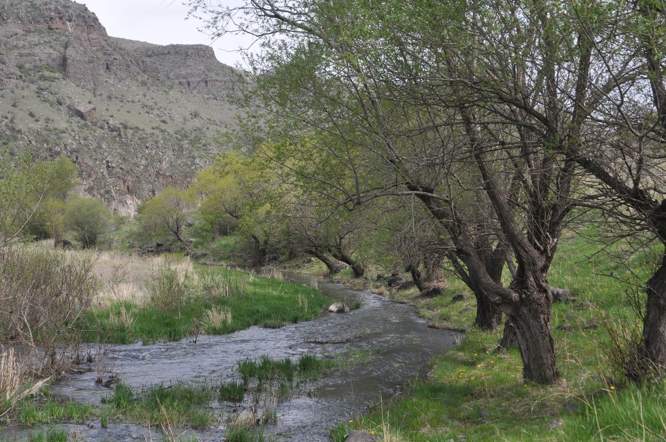 Окрестности монастыря Такветула, image of landscape/habitat.