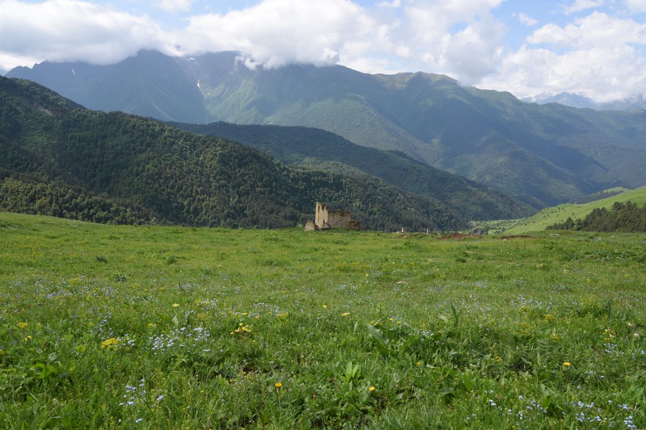 Окрестности урочища Мусиево, image of landscape/habitat.