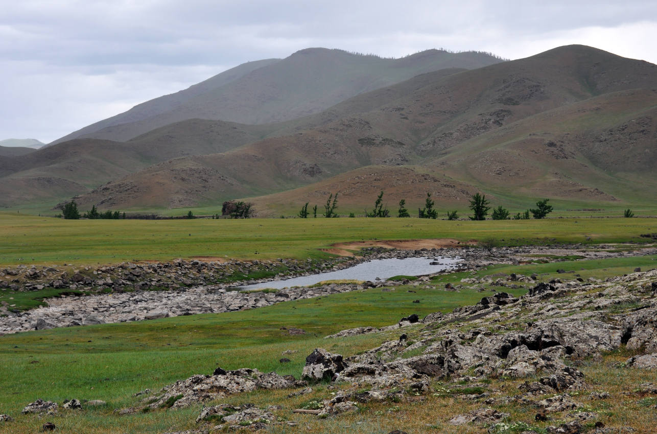 Восточные отроги хребта Хангай, image of landscape/habitat.