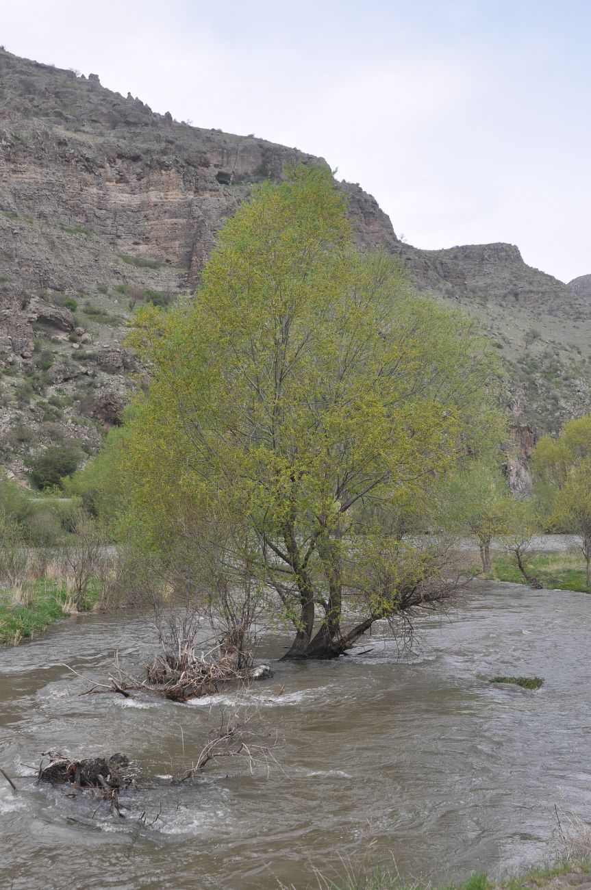 Окрестности монастыря Такветула, image of landscape/habitat.