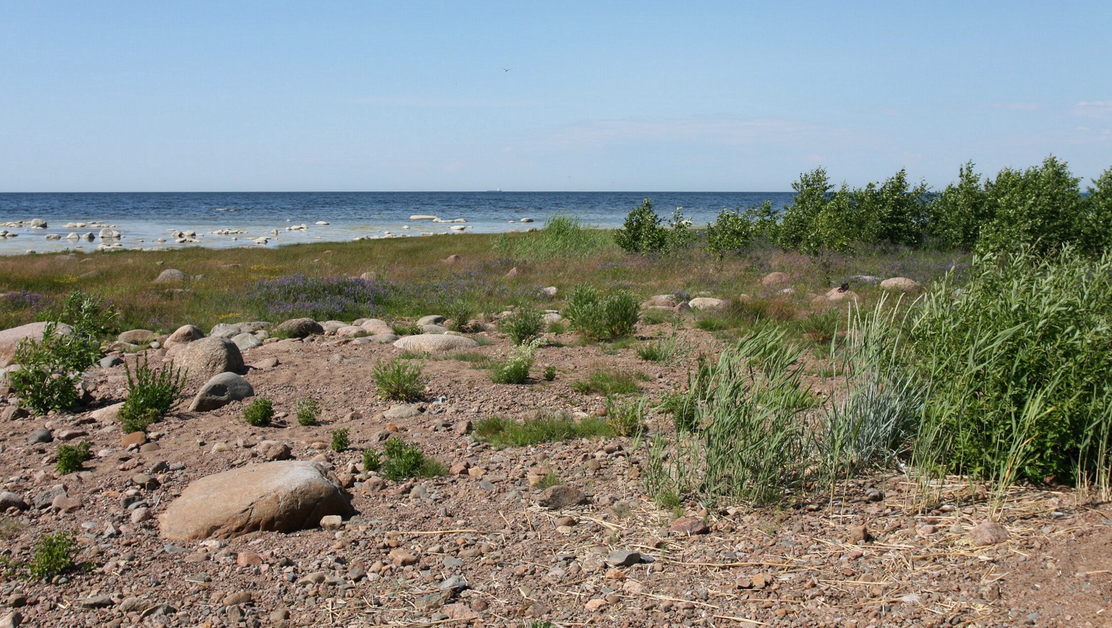 Каравалдай, image of landscape/habitat.