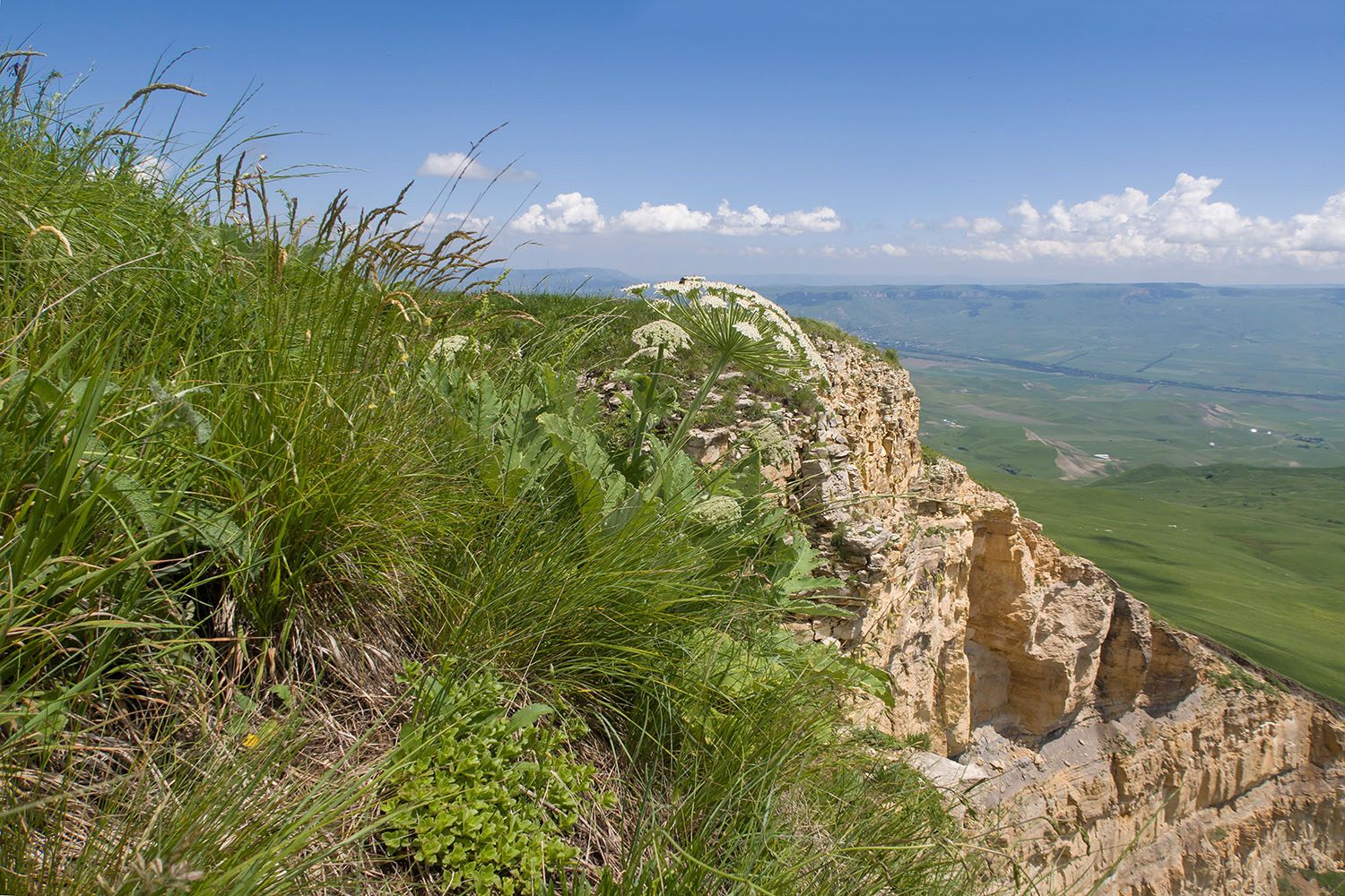 Джисса, image of landscape/habitat.