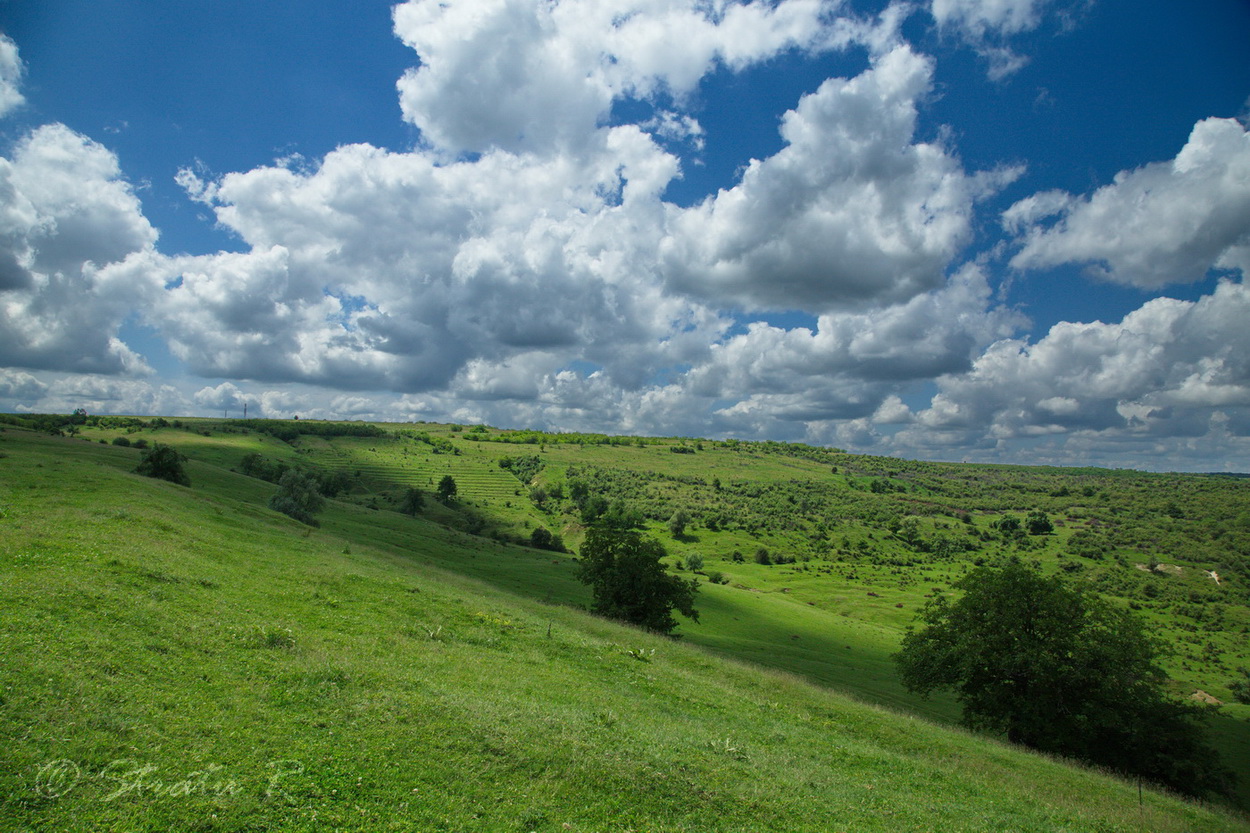 Травянистые склоны, с. Табора, image of landscape/habitat.