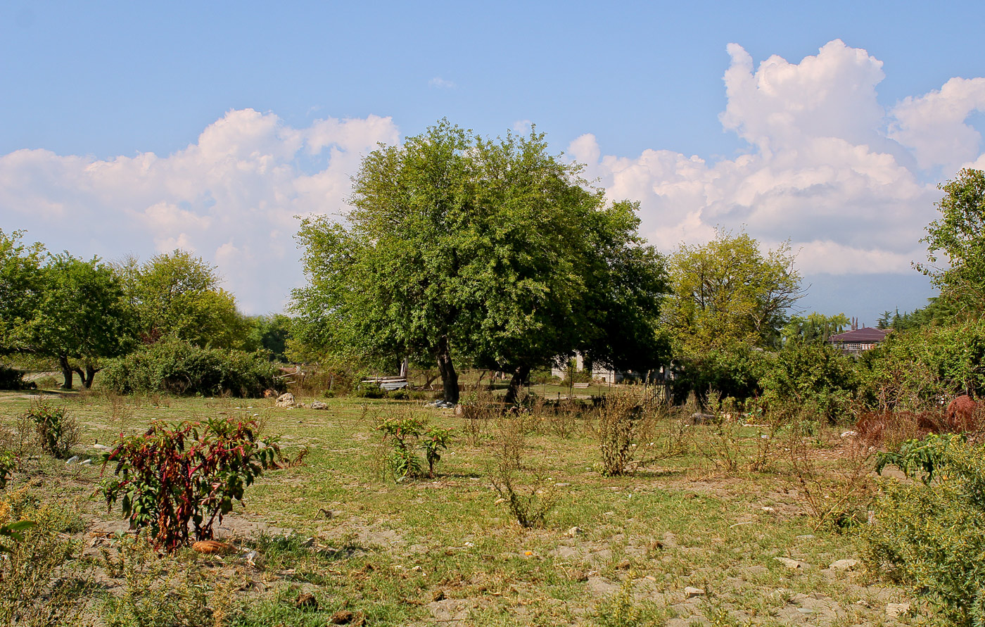 Лдзаа, image of landscape/habitat.