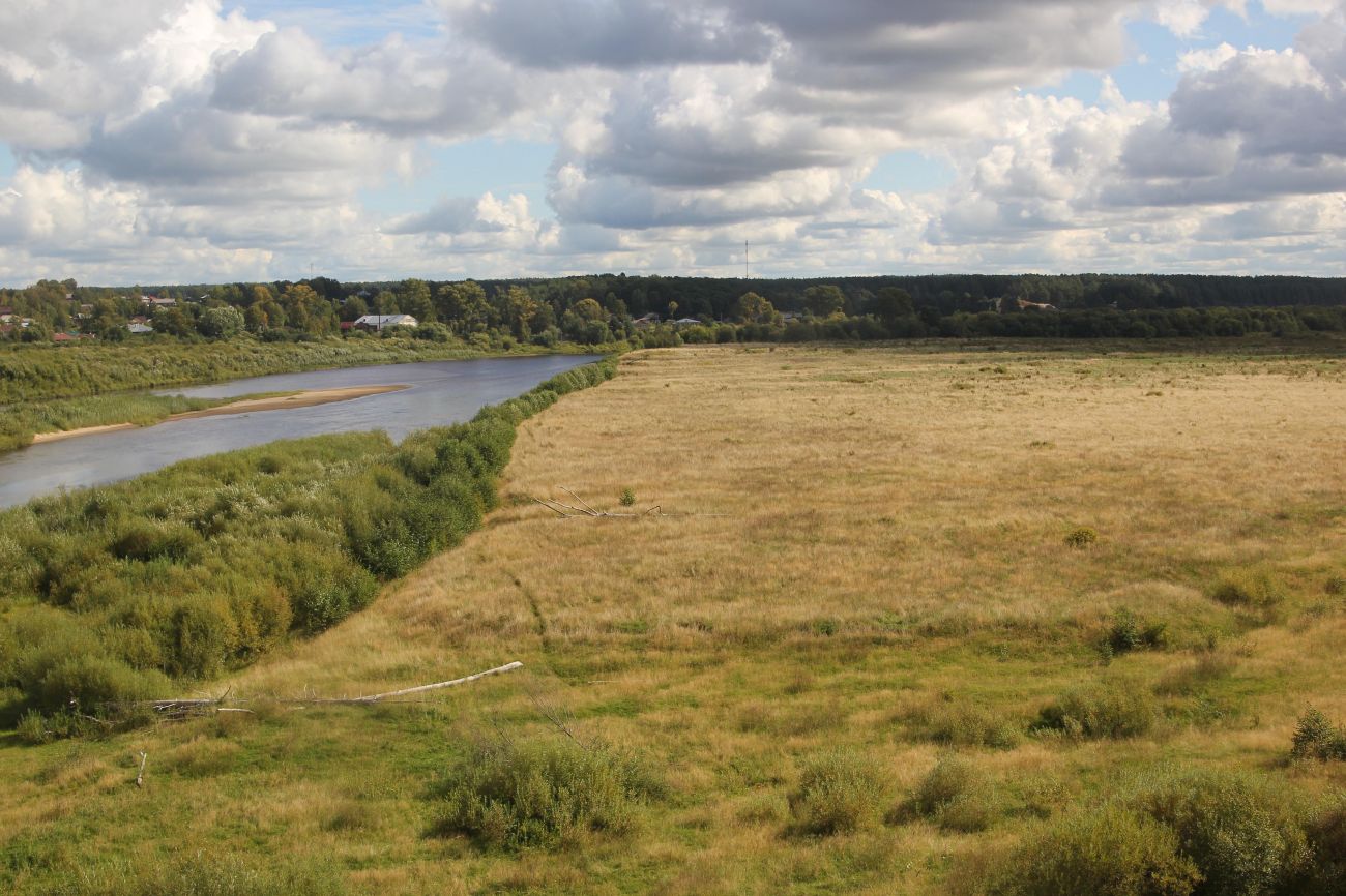 Кологривская пойма, image of landscape/habitat.