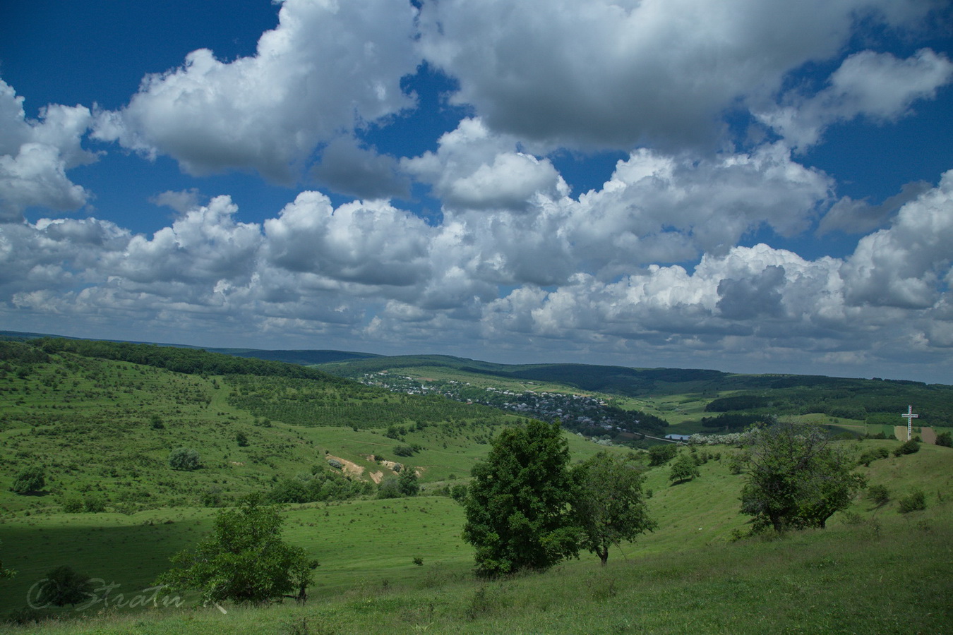 Травянистые склоны, с. Табора, image of landscape/habitat.