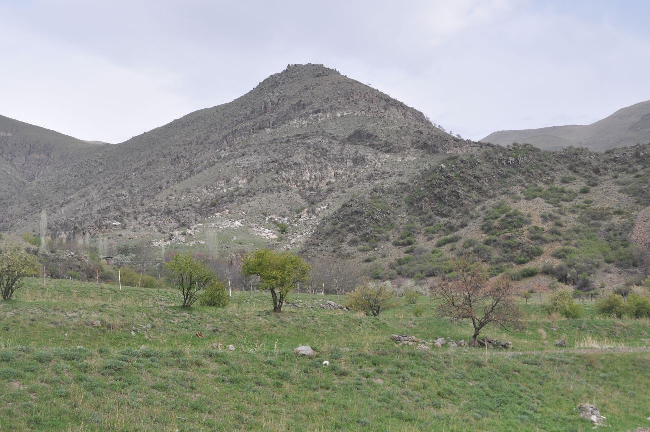 Окрестности монастыря Такветула, image of landscape/habitat.