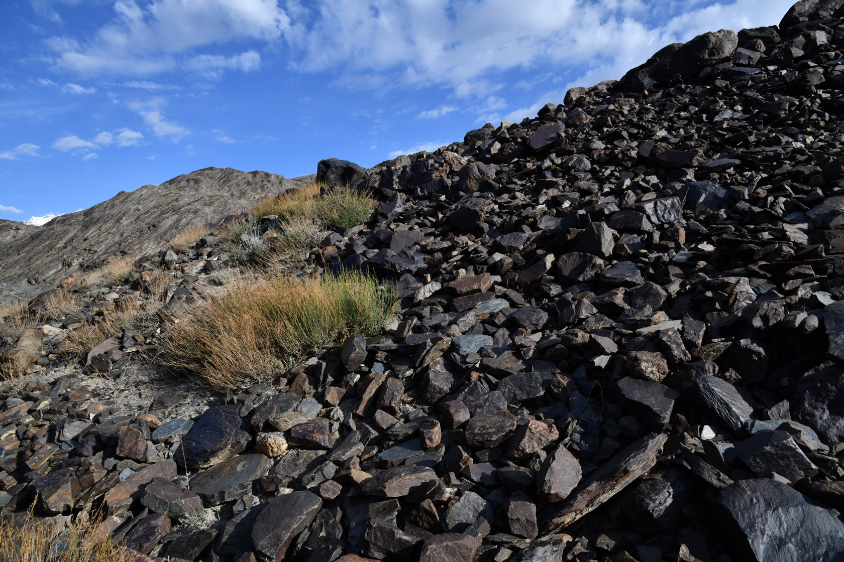 Мургаб (ниже Сареза), image of landscape/habitat.