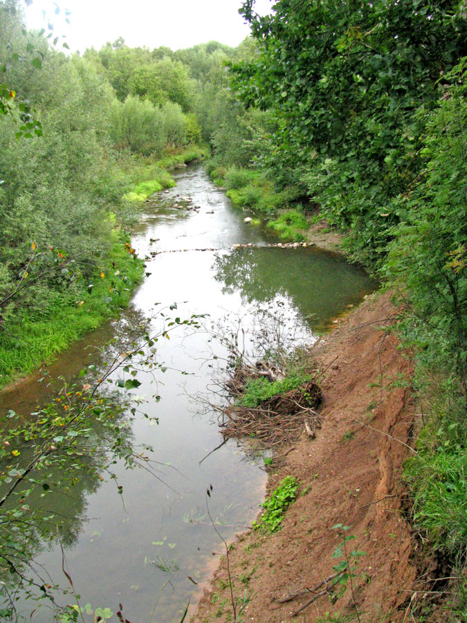 Ильд у Марьино, image of landscape/habitat.