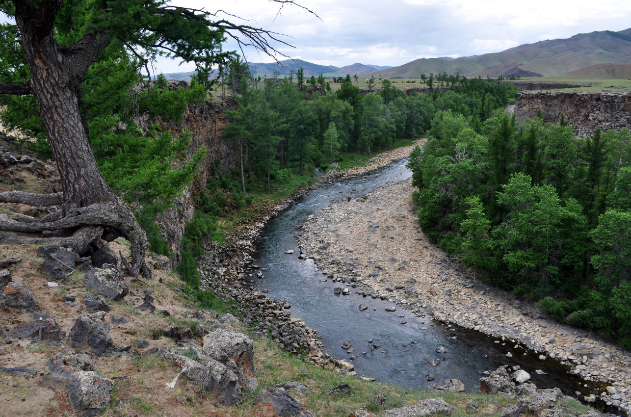 Восточные отроги хребта Хангай, image of landscape/habitat.