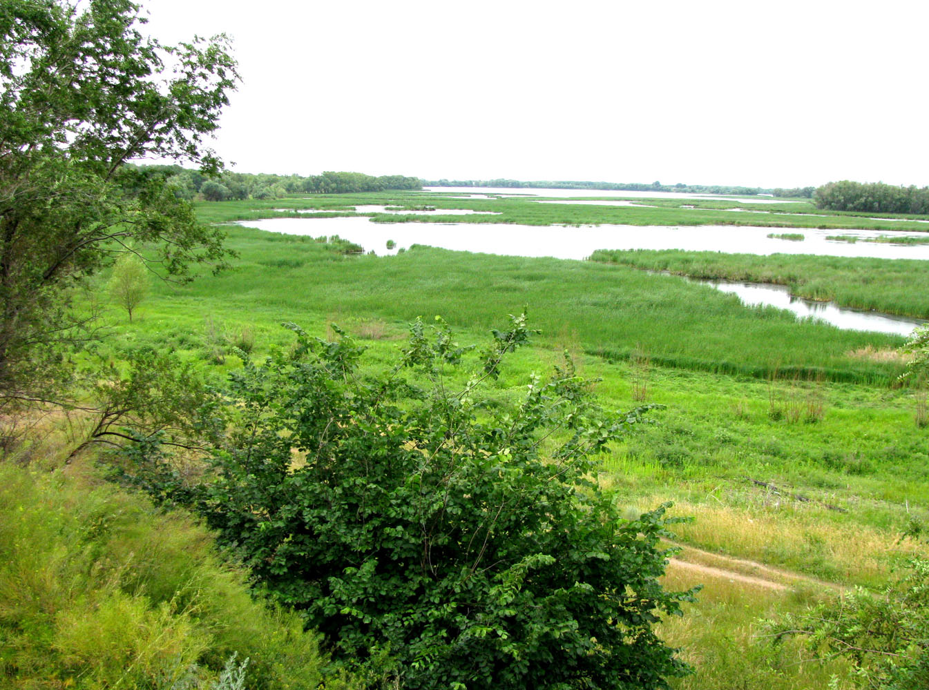 Волгоградское водохранилище, image of landscape/habitat.