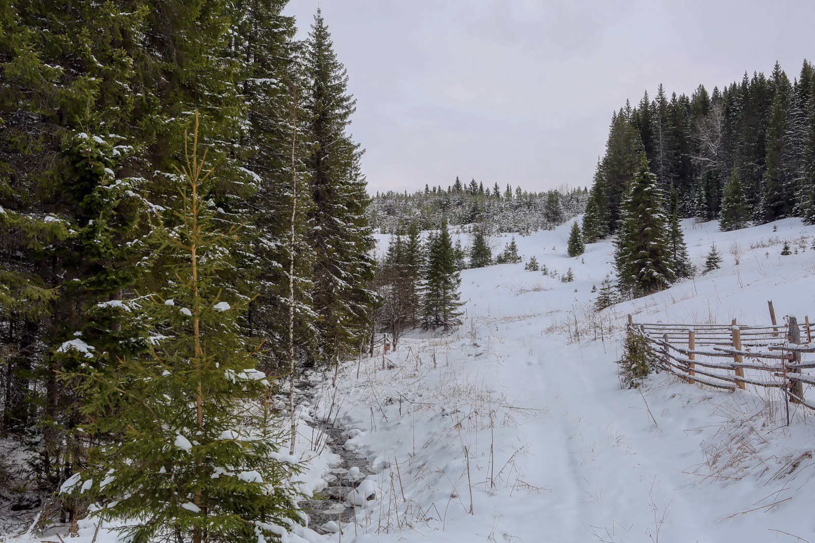 Кын и его окрестности, image of landscape/habitat.