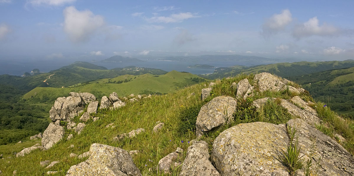 Полуостров Гамова, изображение ландшафта.