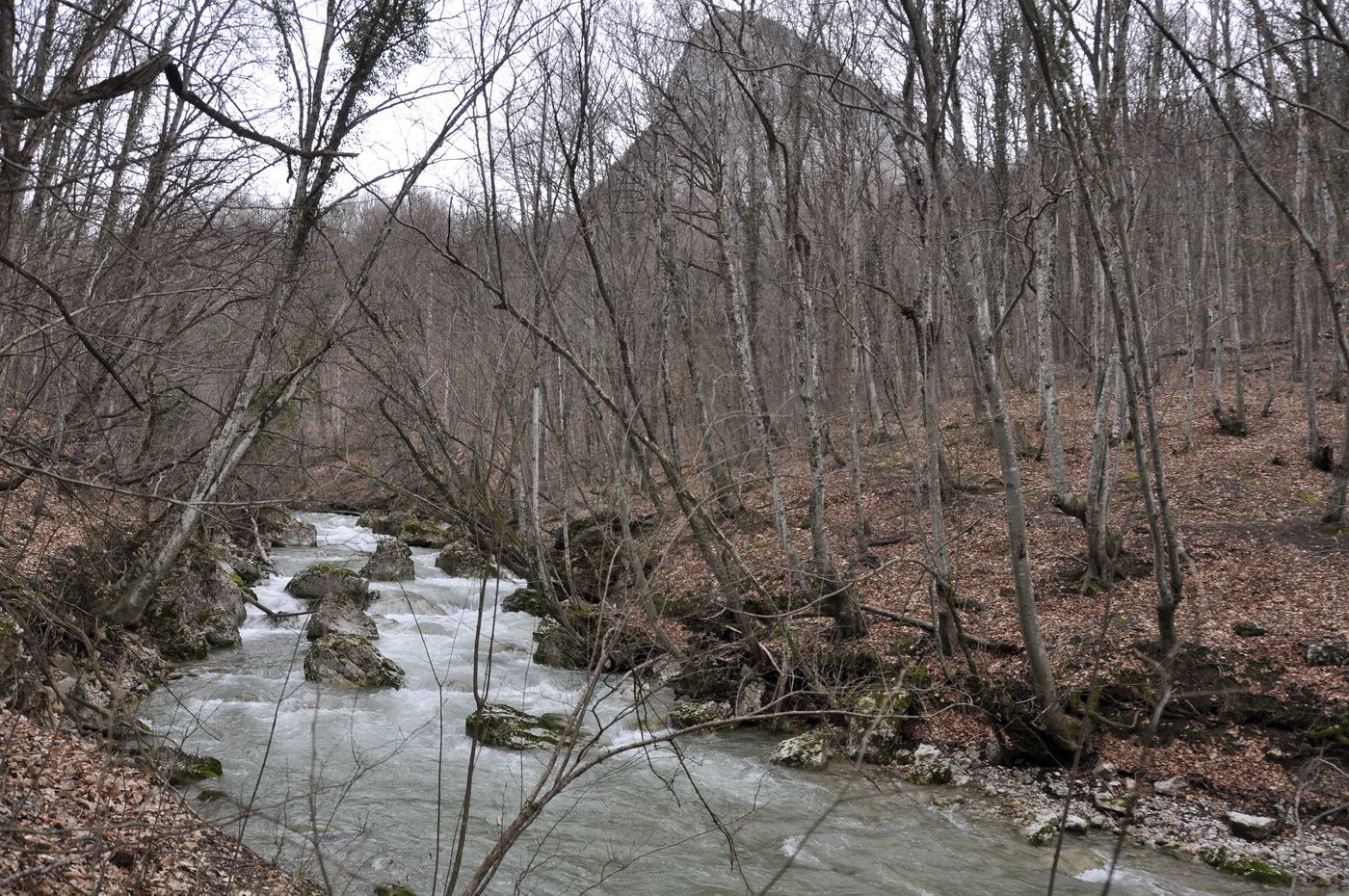 Окрестности Соколиного, image of landscape/habitat.