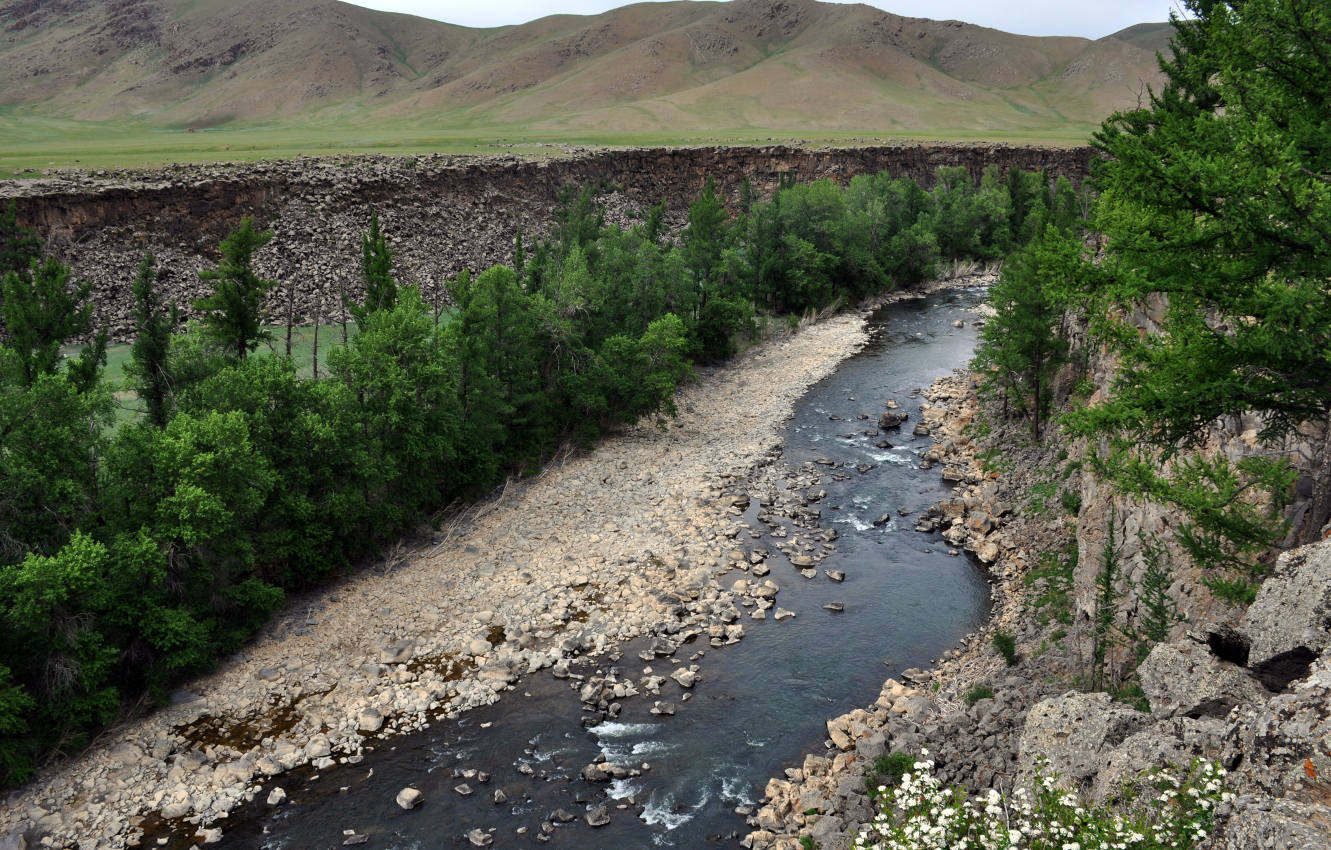 Восточные отроги хребта Хангай, image of landscape/habitat.