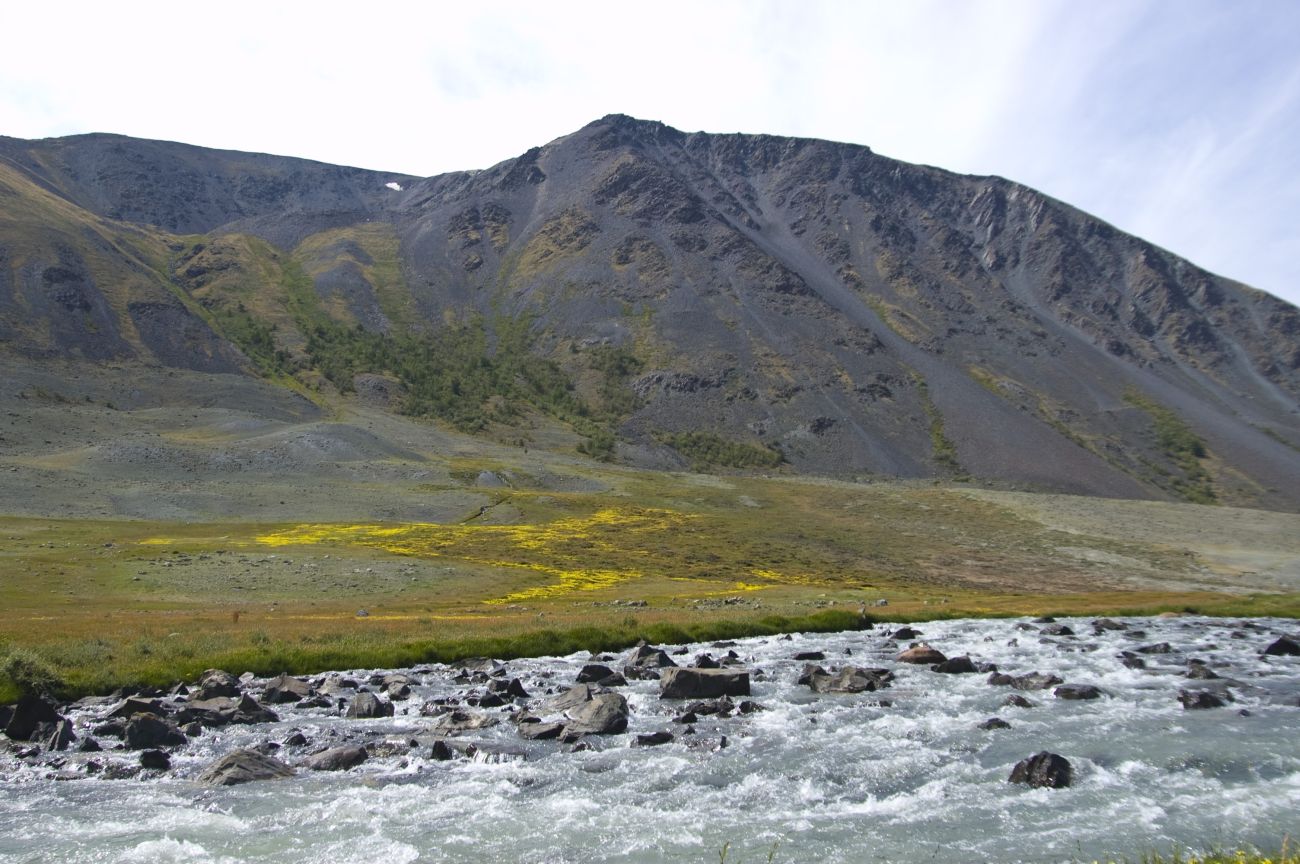 Устье Налиа-Гол, image of landscape/habitat.