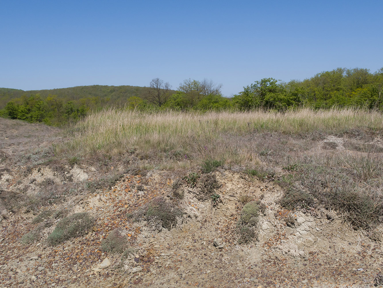 Гладковские сопки, image of landscape/habitat.