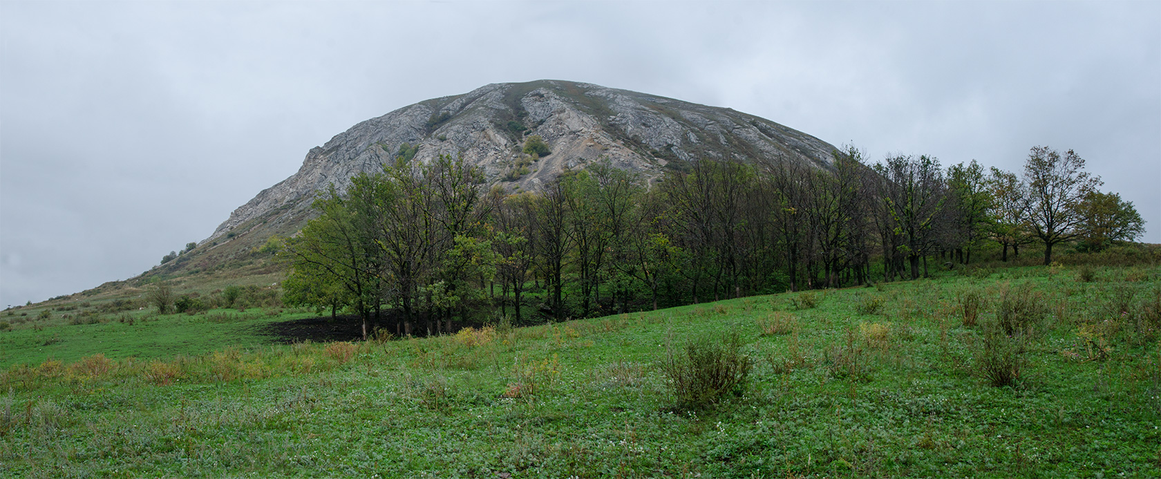 Торатау, image of landscape/habitat.