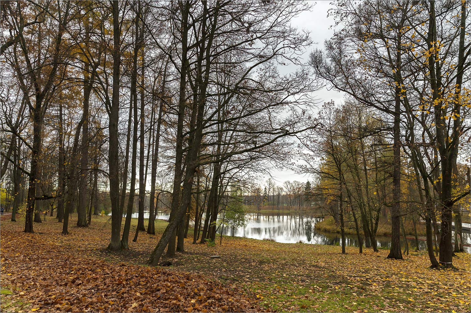 Гатчинские парки, image of landscape/habitat.