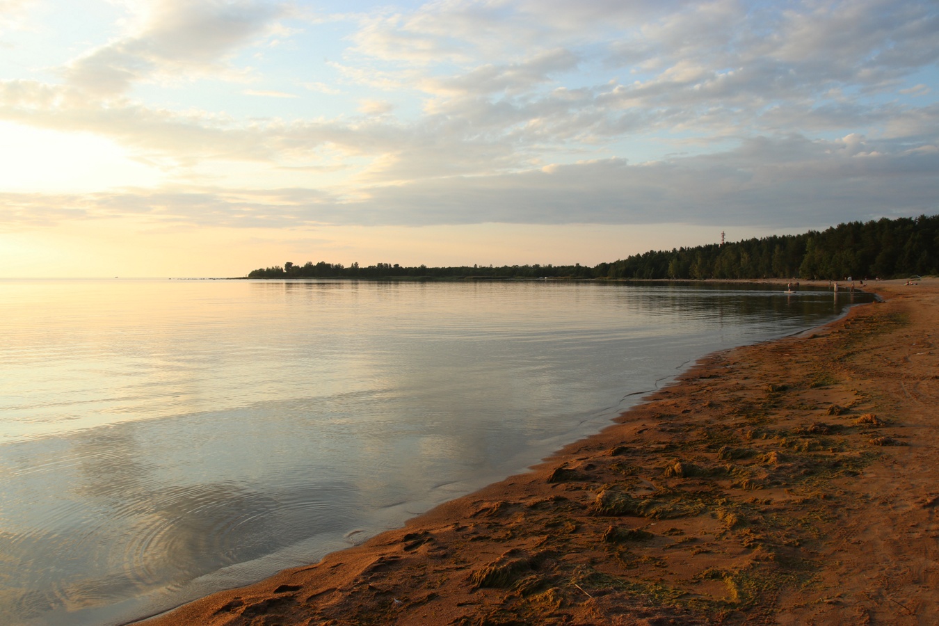 Батарейная бухта, image of landscape/habitat.