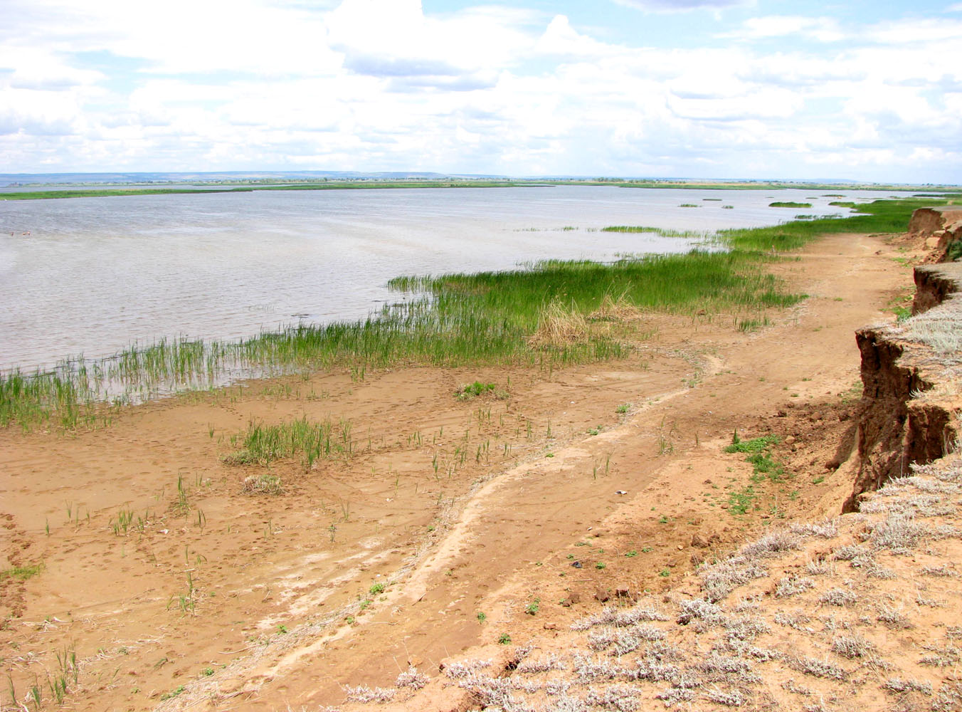 Волгоградское водохранилище, image of landscape/habitat.