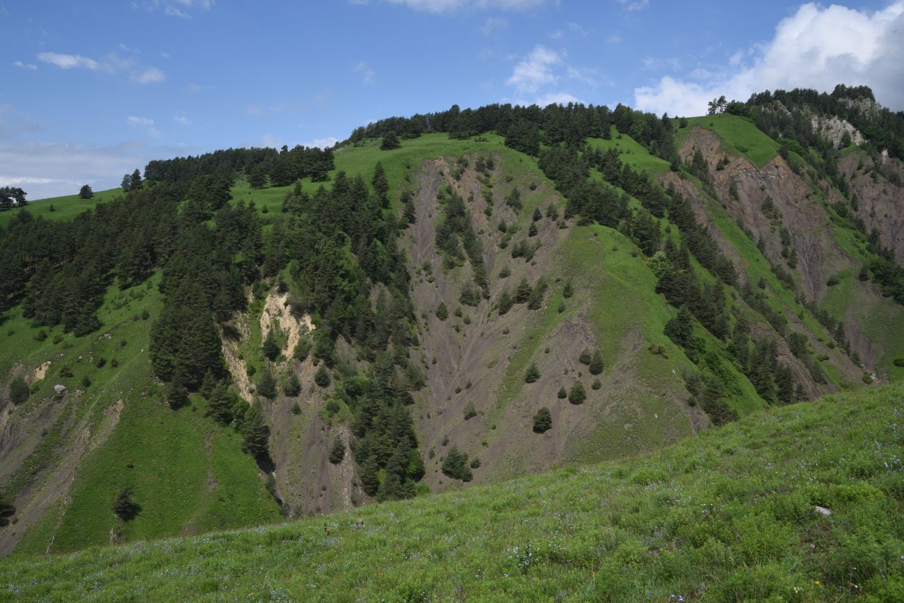 Окрестности урочища Мусиево, image of landscape/habitat.