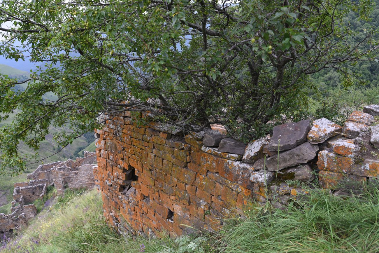 Шикарой и окрестности, image of landscape/habitat.